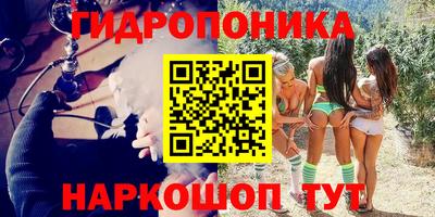 стаф Кунгур