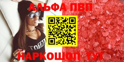 стаф Кунгур