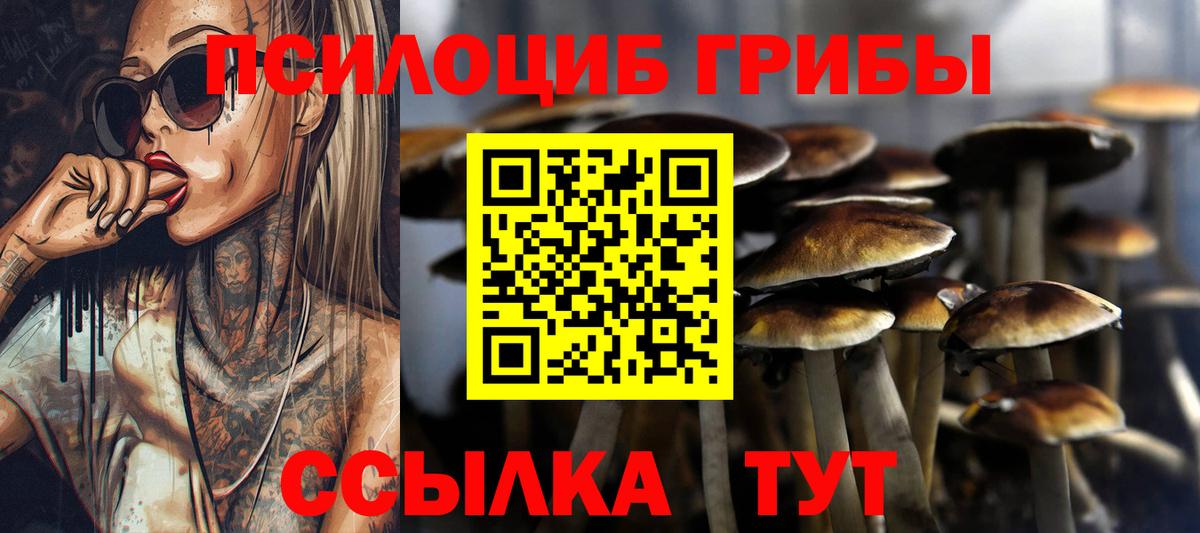 Зима  Галлюциногенные грибы прущие грибы  Вход с VPN 